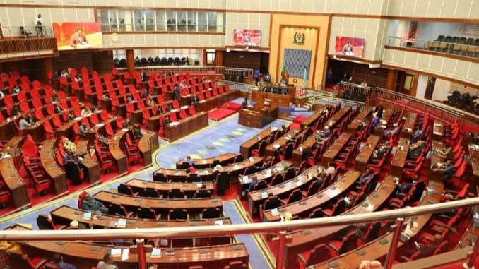 Tanzania Parliament in session.