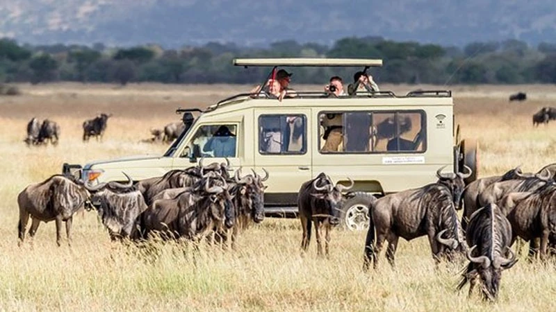 Tourists enjoying the good sceneries of Serengeti National Park