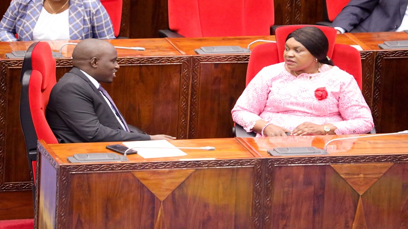 Deputy Prime Minister and Energy minister Dr Doto Biteko (L) exchanges views in the National Assembly in Dodoma city yesterday with Jenista Mhagama, Minister of State in the Prime Minister’s Office (Policy, Parliament and Coordination).
