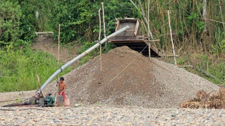 At least 350,000 hectares (about 864,800 acres) of forest and wetland habitat have been lost in the Pan Amazon due to placer mining activities. 