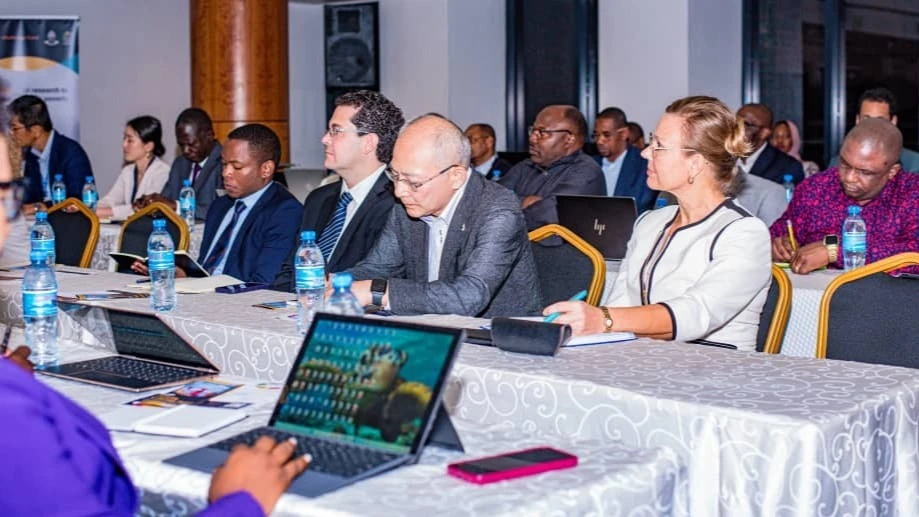 A consortium of domestic and international experts convened in Dar es Salaam 