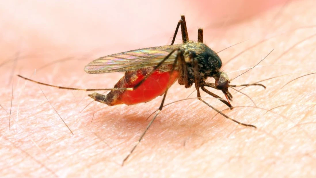 Marekani kupambana malaria mkoani Tabora.