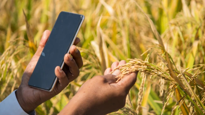 
Artificial intelligence and other agritech offers significant potential to farmers.