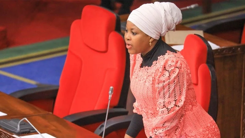 Mwanaisha Ulenge (Special Seats) MP