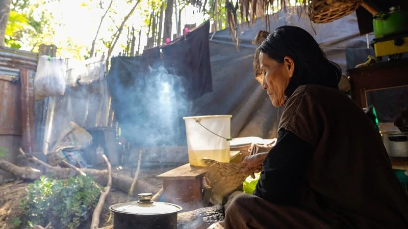
Pachaka boils cassava as she prepares masato, a traditional drink.