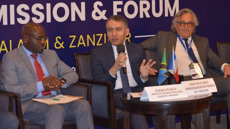 Nabil Hajlaoui, French Ambassador to Tanzania (Centre) making some remarks during the Second French Tanzania Business Forum dubbed: ‘Strengthening Economic Ties Between France and Tanzania.’ held in Dar es Salaam yesterday.