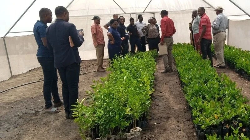 Farming stakeholders discuss counterfeit seeds at a nursery in Kibaha, Coast Region.