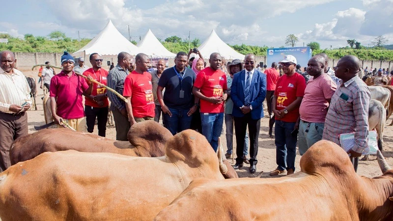 Mkuu wa Wilaya ya Ilala, Edward Mpogolo (wa nne kulia)maoifisa wa Benki ya NBC akiwemo  sambamba na wadau wengine wa sekta ya mifugo wakiwemo Mkurugenzi wa Idara ya wateja wadogo na Wakubwa wa benki ya NBC Elibariki Masuke.