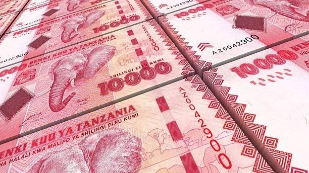 An illustration of Tanzanian shillings