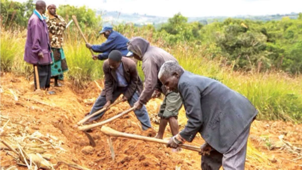Smallholder farmers in northern Malawi preparing deep beds to plant with peas and maize