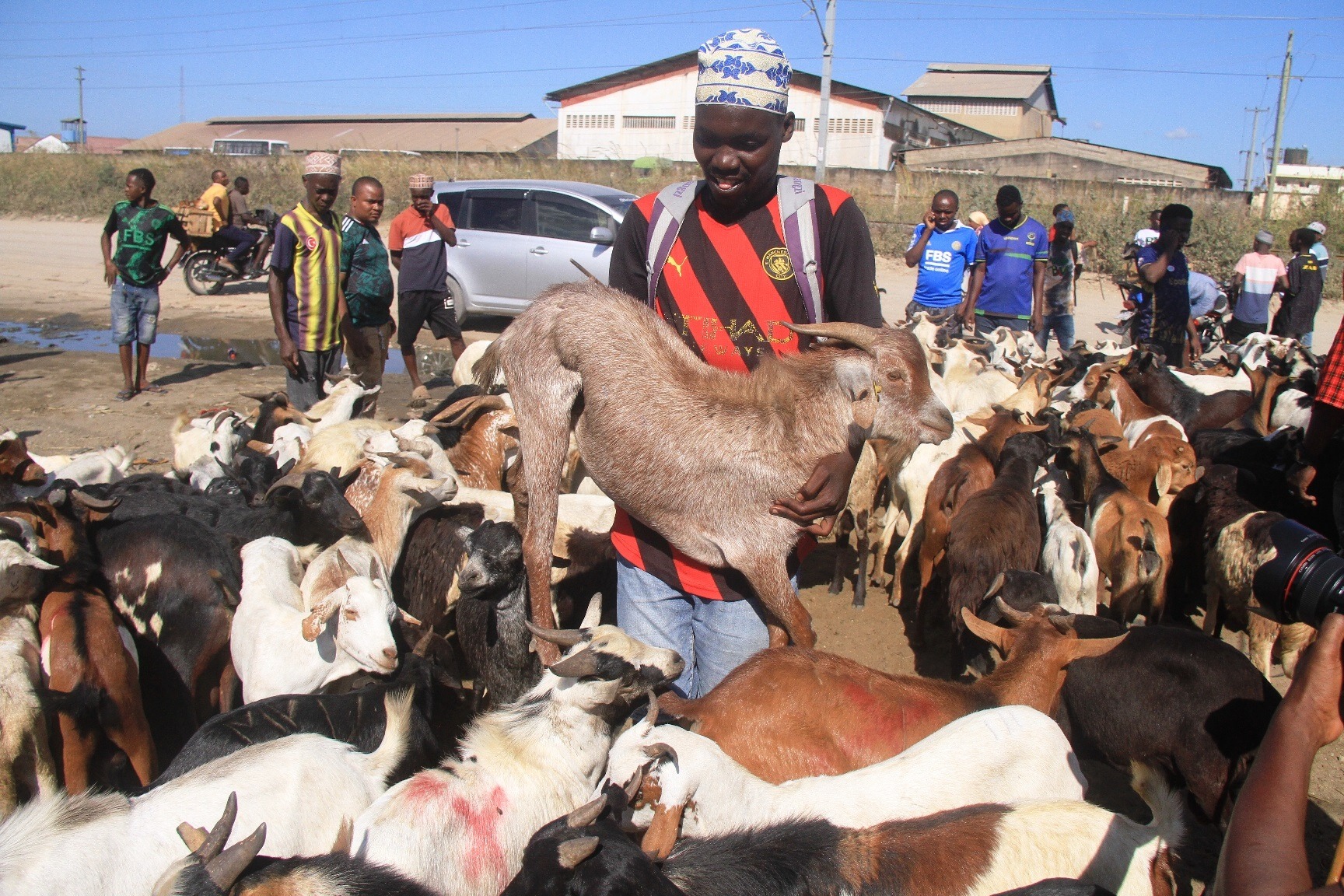 Dar es Salaam’s Vingunguti ‘goat market’ a true beehive of activity yesterday morning as residents of various parts of the city sought goats to slaughter for Eid el-Hajj, the retail price having risen markedly to between 120,000/- and 200,000/- per goat