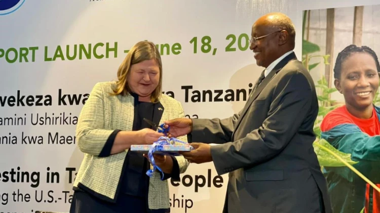 ‘US flows to Tanzania  average $2.8bn yearly‘