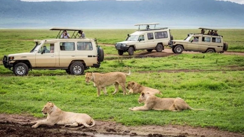 Tourists enjoying good sceneries of Serengeti National Park