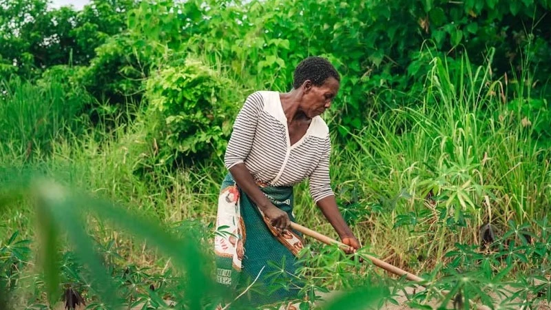 Woman farmer