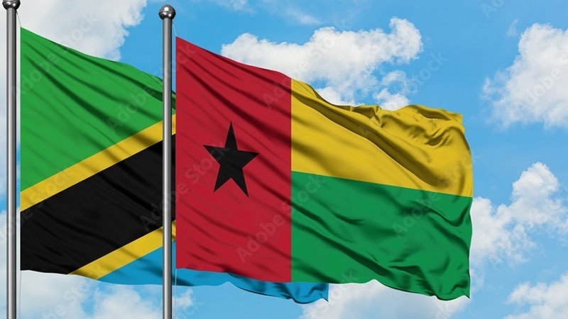 Tanzania and Guinea-Bissau flags