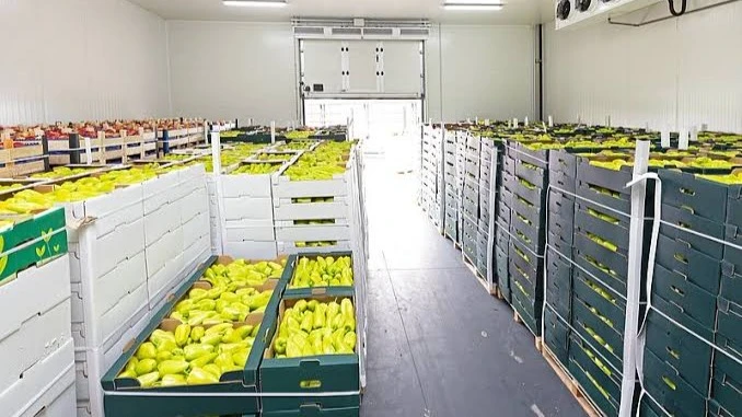 
A cold storage facility for horticulture produce. 