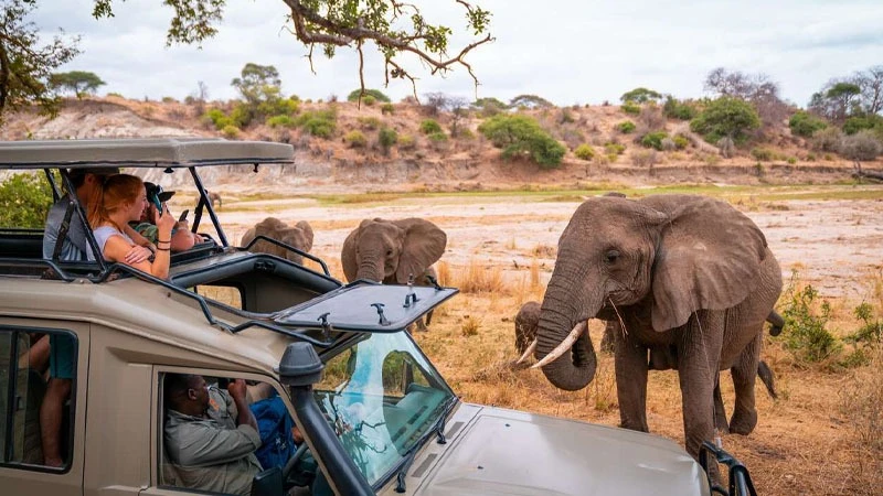 Tourists at the Serengeti National Park