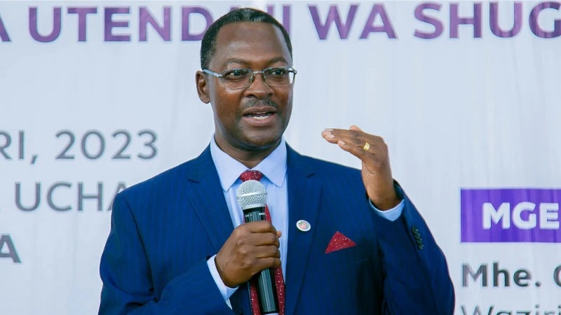 George Simbachawene, the Public Service Management and Good Governance state minister in the President's Office