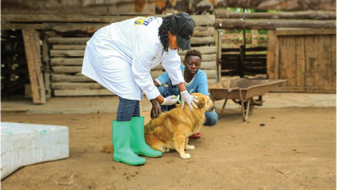 A veterinary officer, Rose Wambura administers a vaccine to a dog during the World Zoonosis Day celebrations in Mara Region recently.