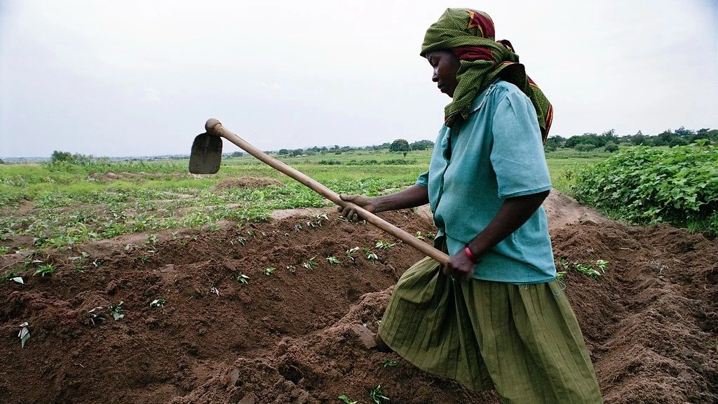 A woman captured while working on a farm.