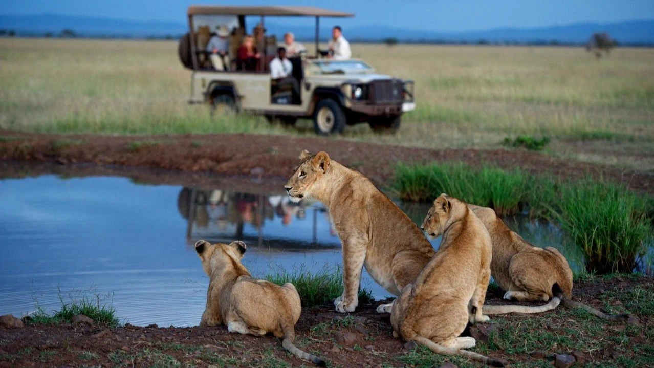 Tourists at the park