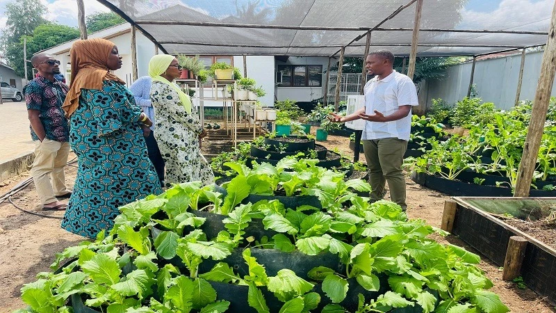 
Lucas Malembo attends to his customers at his organic farm garden in Mbezi suburb, Kinondoni District, Dar es Salaam.