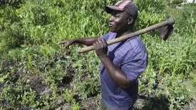 Benson Wanjala talks about the health of his soil at his farm in Machakos, Kenya

 