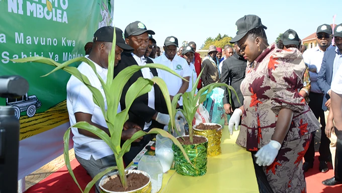 Baadhi ya watendaji wa sekta ya kilimo kutoka mkoa wa Ruvuma na Mamlaka ya udhibiti wa ubora wa mbolea Tanzania(TFRA)wakimsikiliza Naibu Waziri wa Nishati Judith Kapinga(hayupo pichani)wakati wa usinduzi wa kampeni ya Uhamasishaji wa matumizi ya mbolea.