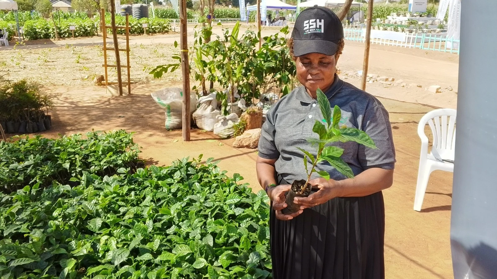 
Grace Monyo, the plant breeder lead at TaCRI's coffee crop improvement department displays some of the coffee varieties that have been developed by the Institute. 