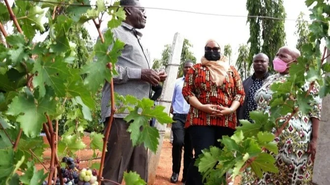 Former Prime Minister Mizengo Pinda hails organic farming for its sustainability and positive impact on local economies.