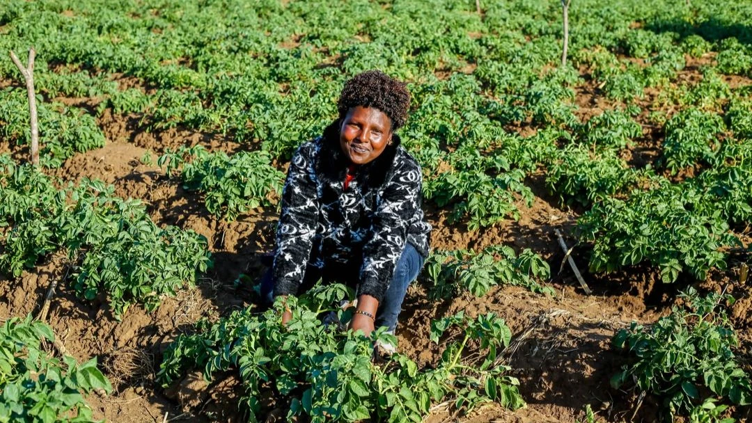 
Sia Abraham Kabelege works on her farm in Lunguya Village, Njombe District.