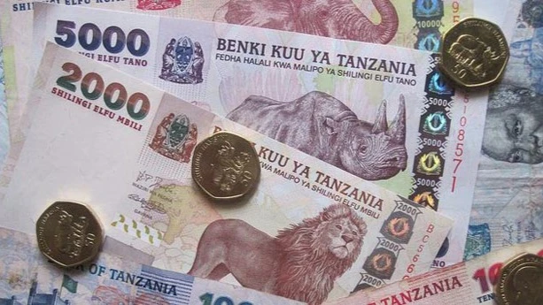 An illustration of Tanzanian currency