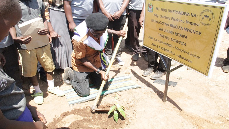 Godfrey Mnzava, leader of this year’s edition of the cross-country Uhuru Torch Race, plants a tree at Ng’wang’osha Primary School in Shinyanga District on Wednesday shortly after launching an environment club. 