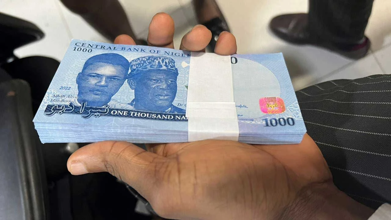 An illustration of Naira Currency