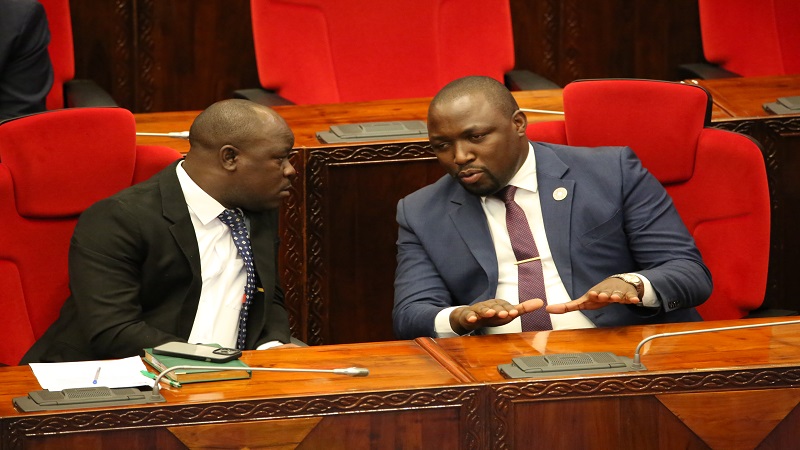 Water minister Jumaa Aweso (L) and Makete constituency legislator Festo Sanga consult in the National Assembly debating chamber in Dodoma city yesterday with the House in session. 