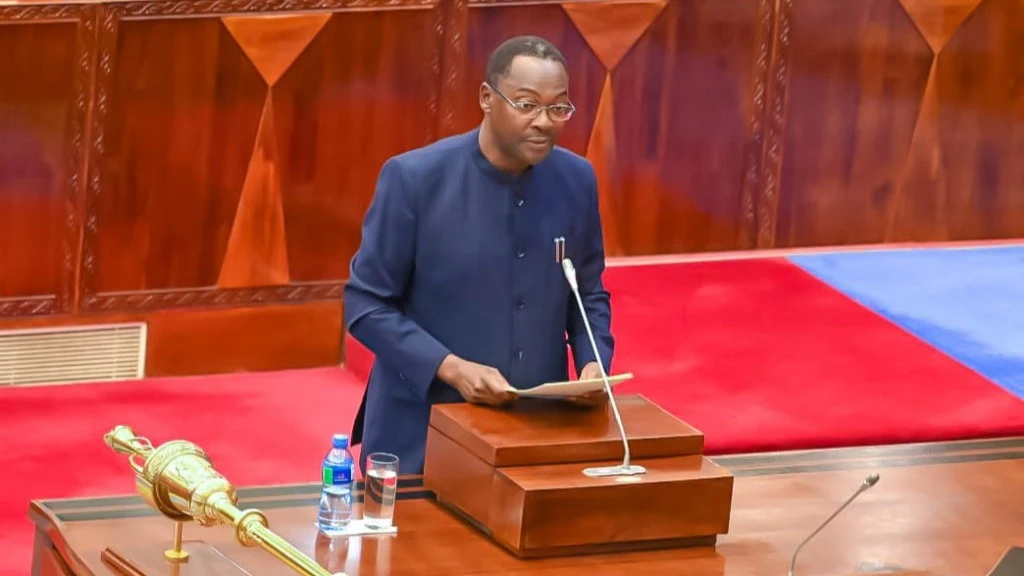 George Simbachawene, the Public Service Management and Good Governance state minister in the President's Office