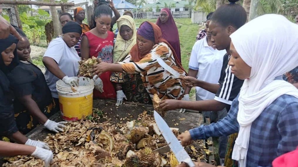 Wajasiriamali Kipunguni wakiandaa matunda na makombo ili kuzalisha wadudu au protini ya kulisha mifugo.

Wadudu  (black soldiers),  walio tayari kulishwa na kuku, bata na nguruwe.   
