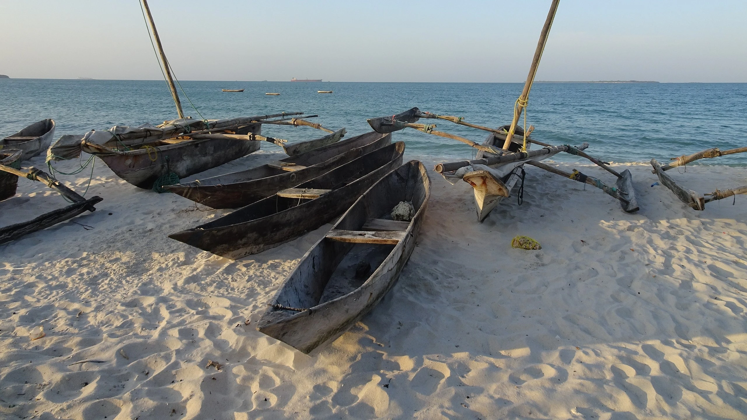 Currently, 20 people are engaged in crab mud fattening, 50 in sea cucumber farming, 100 in seaweed farming, 24 in beekeeping, 30 in mangrove nursery planting, and 20 in mangrove tourism