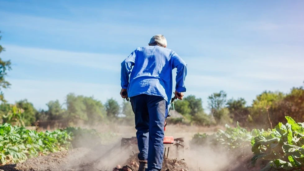 Food safety is a critical public health issue in Africa, significantly affecting agricultural competitiveness and trade.