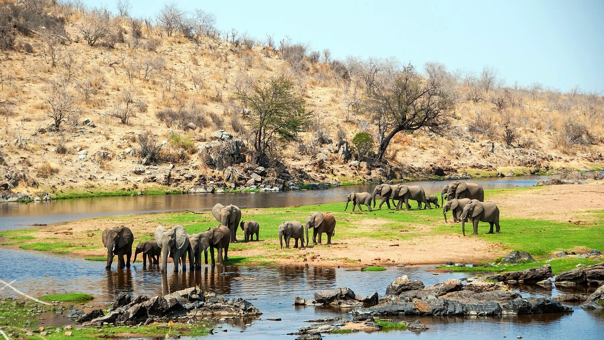 Ruaha National Park