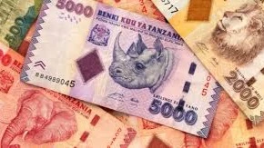 Tanzanian currency illustration