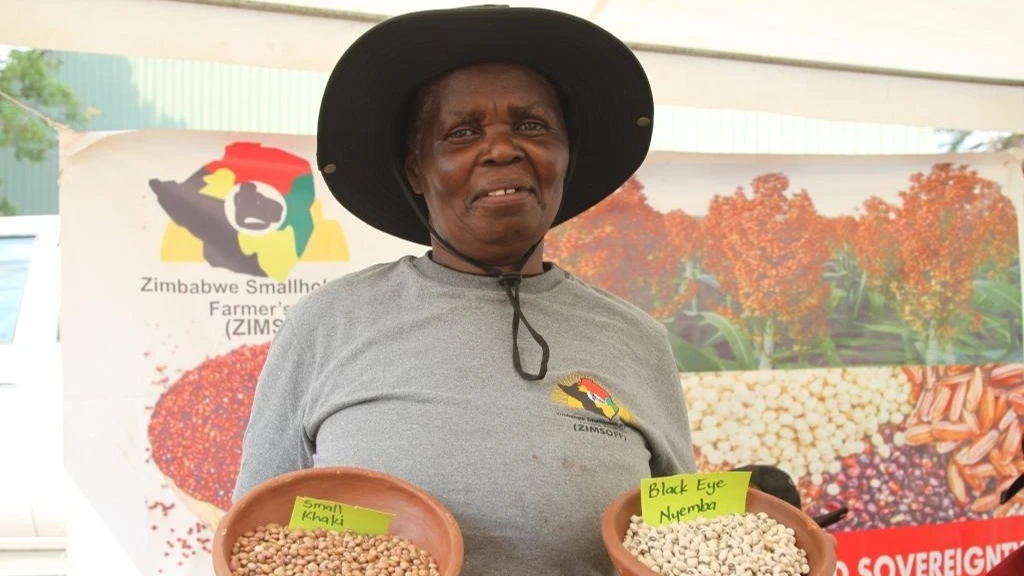 A farmer holds clay bowls containing different varieties of cowpeas during a food and seed fair in Harare, Zimbabwe.