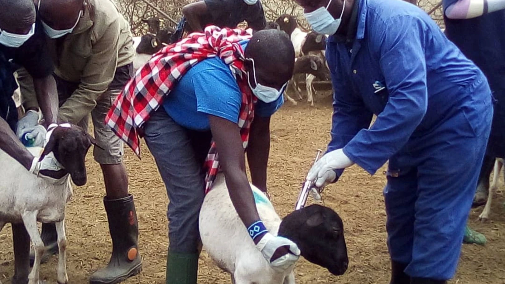  Enhancing the country’s capacity for animal disease detection, prevention and response.