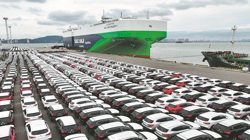 China-made new energy vehicles await shipment to Europe in Xiamen, Fujian province. 