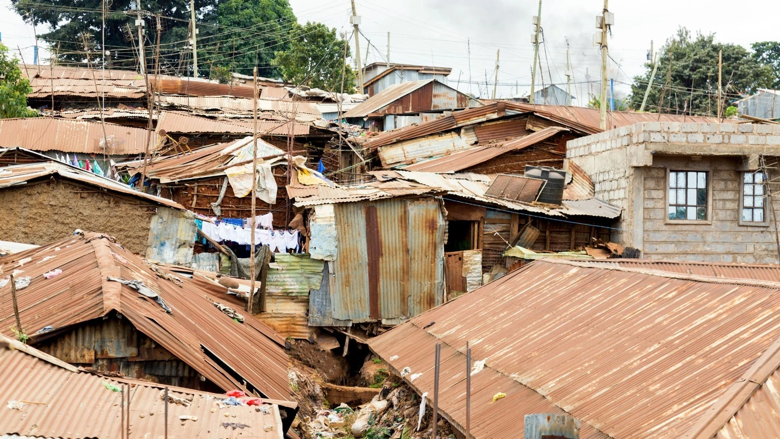 
Countries like Nigeria, Ethiopia, and Tanzania are witnessing high birth rates, further straining already limited housing resources.

 