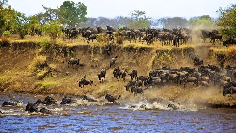 Serengeti National Park