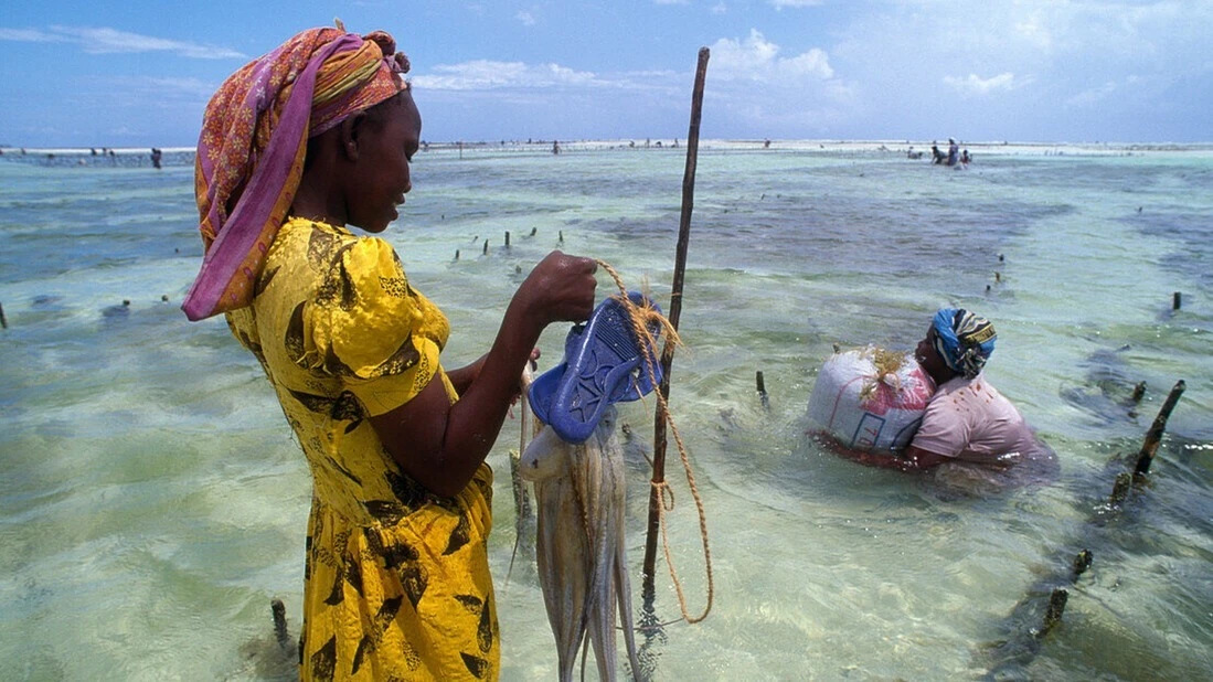 Women in fishing illustration