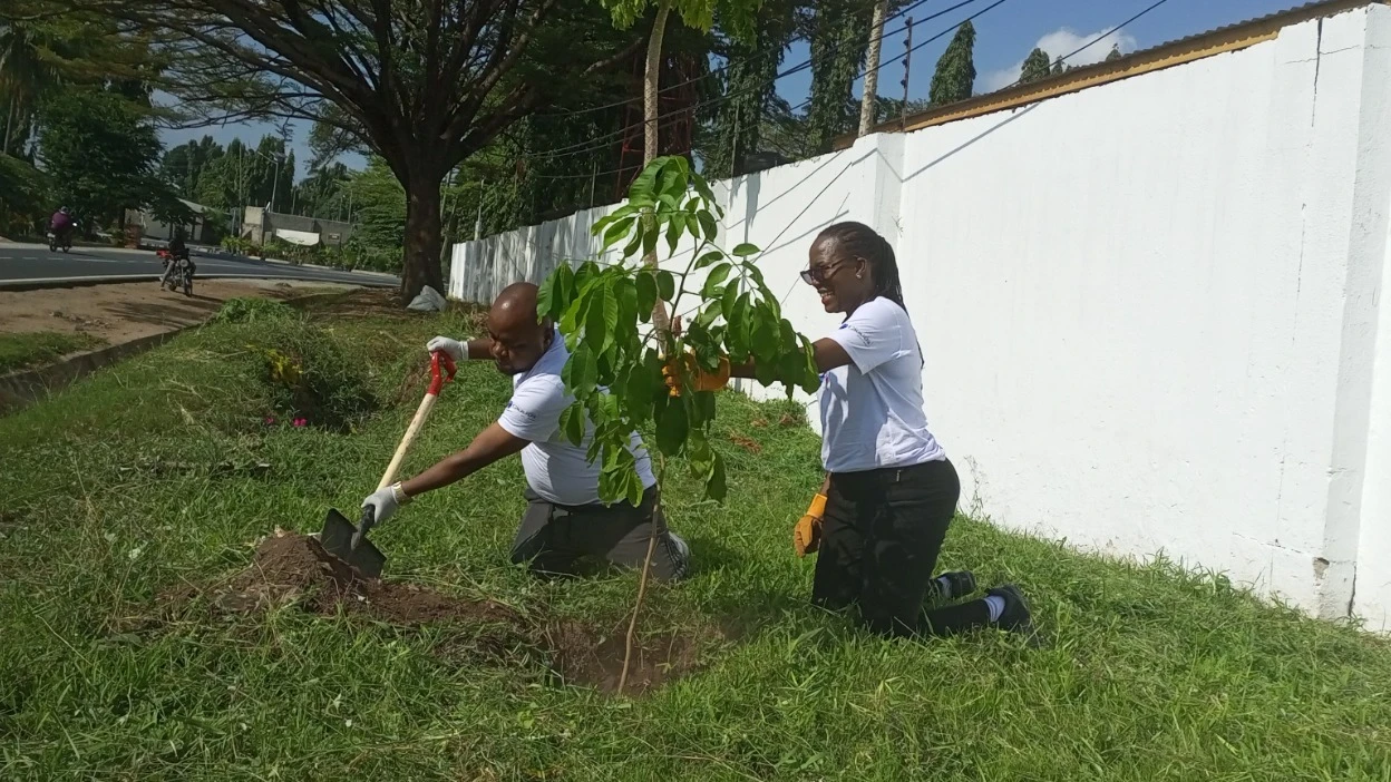 Suzanne Ndomba-Doran , ATE chief executive officer, planted a tree along Coca-Cola road in Mikocheni industrial area, Dar es Salaam today. Assisting her is Nelson Edger, Mikocheni ‘B’ street chairperson. 