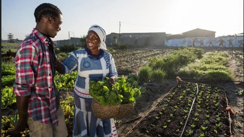 Smallholder farmers in Africa benefit from regenerative agriculture through a diverse set of practices but need better access to technology.