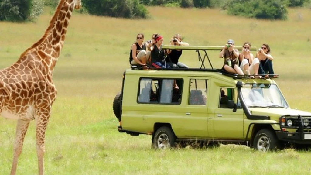 Tourists at the park